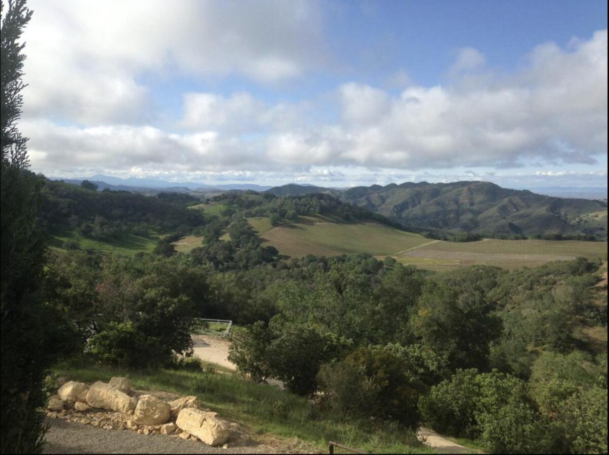 Lekai Ranch Forever Vineyard Views Adelaida Exteriör bild